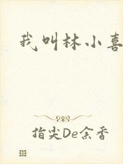 我叫林小喜17