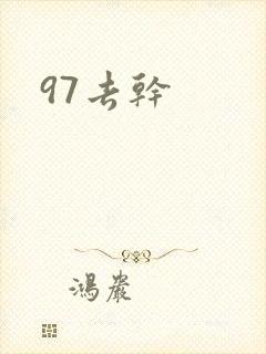 97去干封面