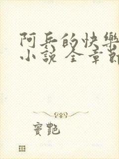 阿兵的快乐生活小说 全章节阅读免费