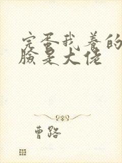 完蛋我养的小白脸是大佬