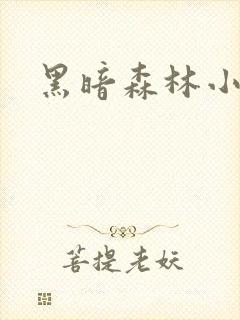 黑暗森林小说