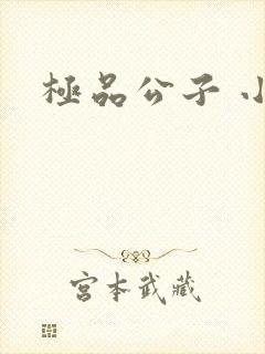极品公子 小说