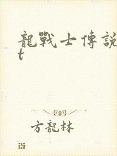 龙战士传说txt