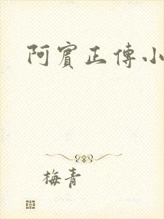 阿宾正传小说
