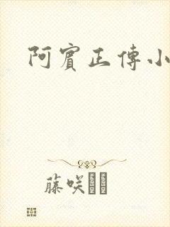 阿宾正传小说