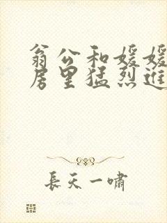 翁公和媛媛在厨房里猛烈进出