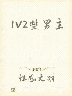 1V2双男主