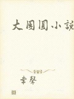 大团圆小说