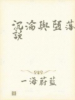 沉沦与堕落的小说