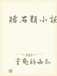 赌石类小说