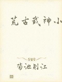 荒古武神小说