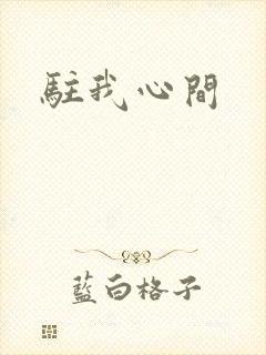 驻我心间