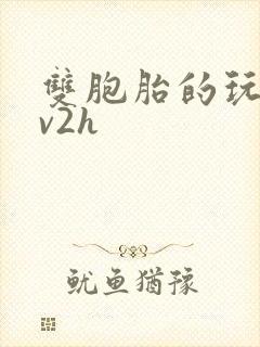双胞胎的玩具1v2h封面