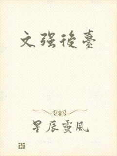文强后台