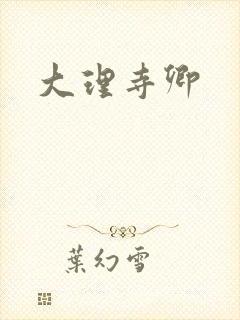 大理寺卿