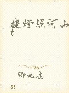提灯照河山txt