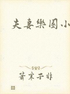 夫妻乐园小说