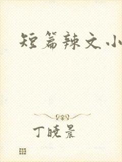 短篇辣文小说