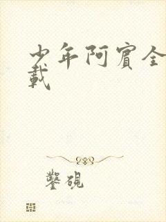 少年阿宾全集下载封面