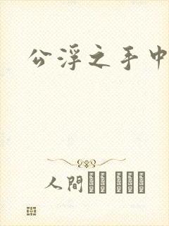 公浮之手中字5封面