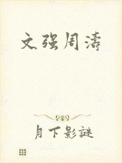 文强周涛
