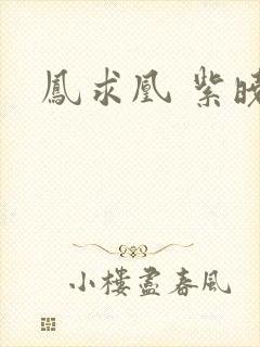凤求凰 紫晓