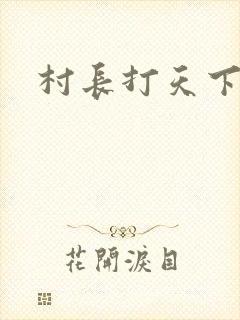 村长打天下封面