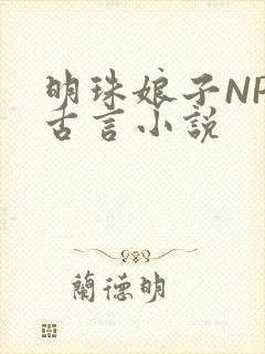 明珠娘子NPC古言小说