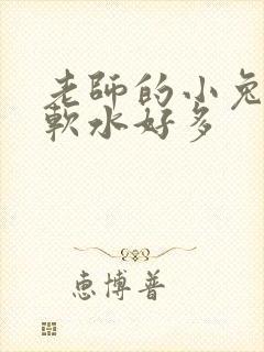 老师的小兔子好软水好多