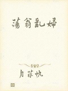 荡翁乱妇封面