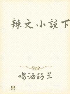 辣文小说下载封面