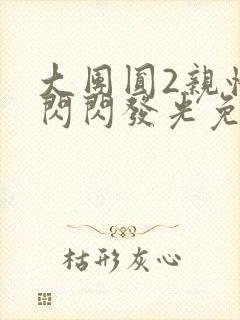 大团圆2亲情会闪闪发光免费