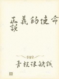 正义的使命 小说