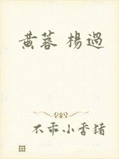 黄蓉 杨过