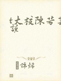t大校陈若芸小说