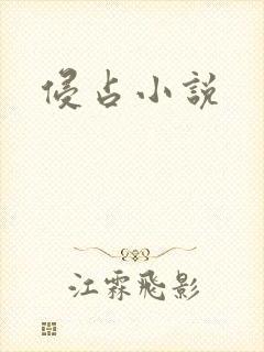 侵占小说
