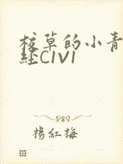 校草的小青梅不经C1V1封面