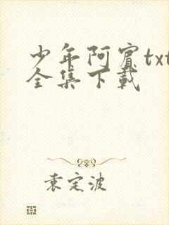 少年阿宾txt全集下载封面
