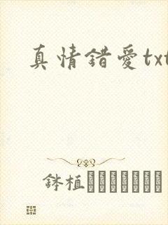 真情错爱txt封面