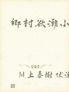 乡村欲潮小说封面