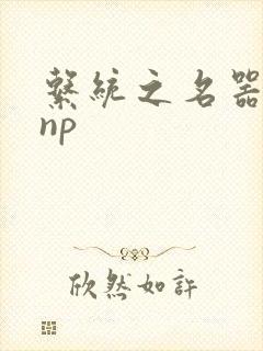 系统之名器攻略np