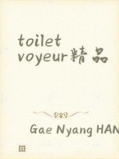toilet voyeur精品