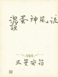 混蛋神风流史小说