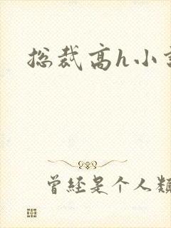 总裁高h小说