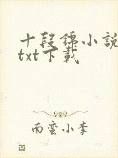 十段锦小说全本txt下载
