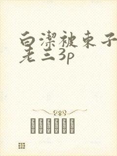 白洁被东子老二老三3p