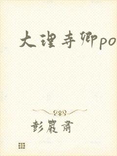 大理寺卿po