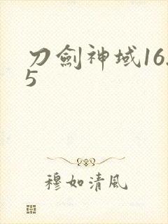 刀剑神域16.5封面