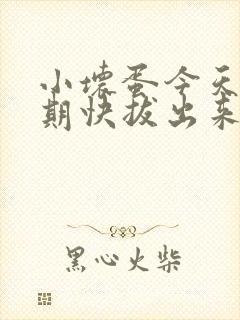 小坏蛋今天危险期快拔出来封面