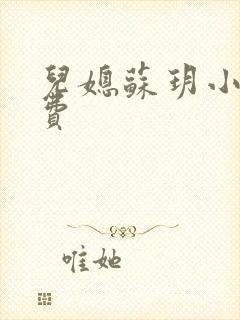 儿媳苏玥小说免费